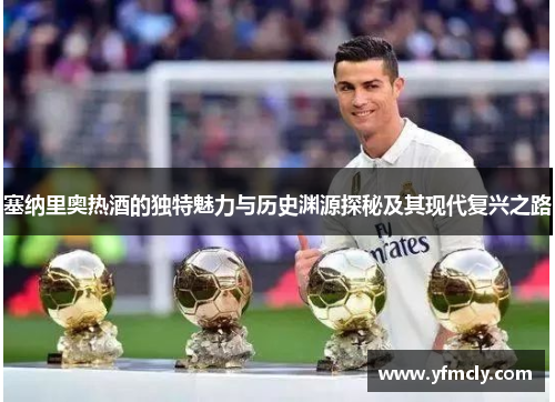 塞纳里奥热酒的独特魅力与历史渊源探秘及其现代复兴之路